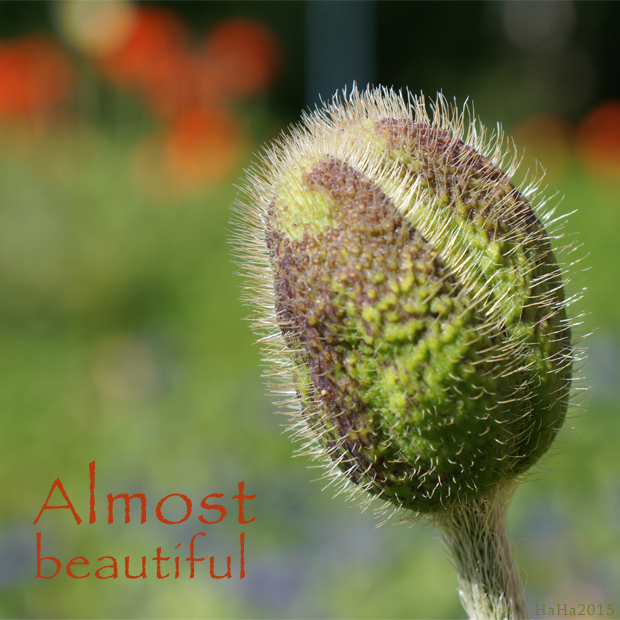 Almost beautiful – Melkein kaunis