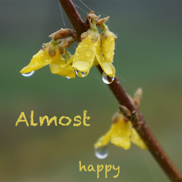 Almost happy – Melkein onnellinen