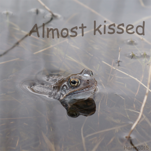 Almost kissed – Melkein suudeltu