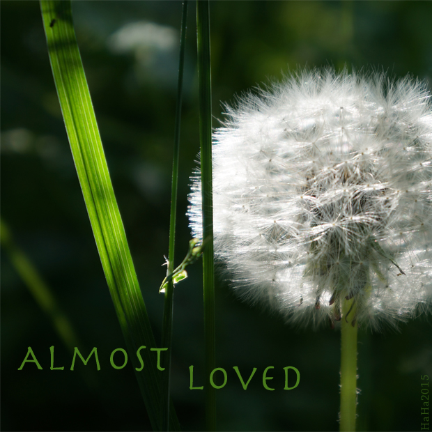 Almost loved – Melkein rakastettu