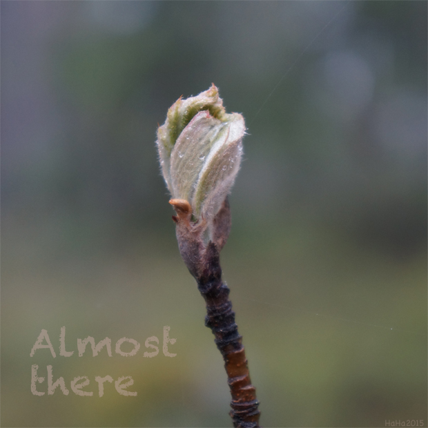Almost there